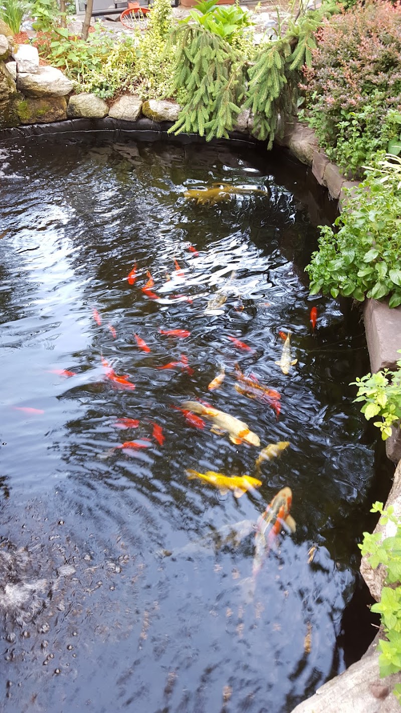 St Anthony Shelter for Renewal - Photo 3